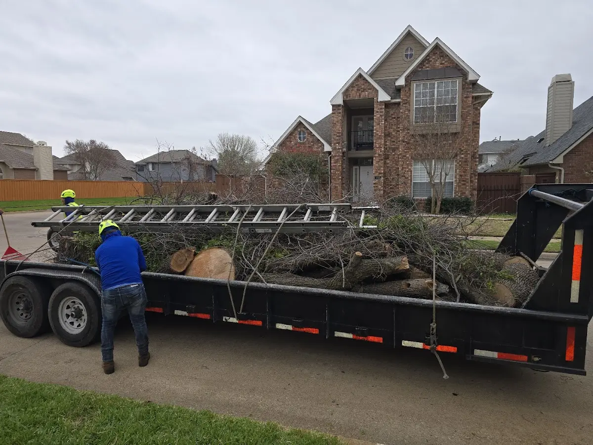 Expert Tree Fertilization with proper safety equipment in Big Indian